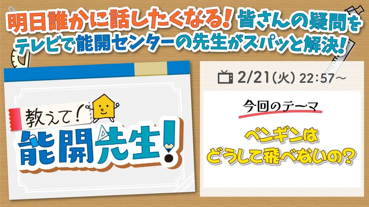 第4回テーマ「ペンギンはどうして飛べないの？」｜教えて！能開先生