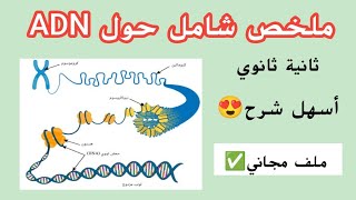 ملخص شامل حول ADN😍من صفر✅في 20 دقيقة