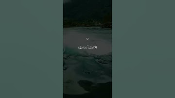 وَوَصَّيْنَا الْإِنسَانَ بِوَالِدَيْهِ | القارئ اسلام صبحي تلاوة خاشعة ومؤثرة