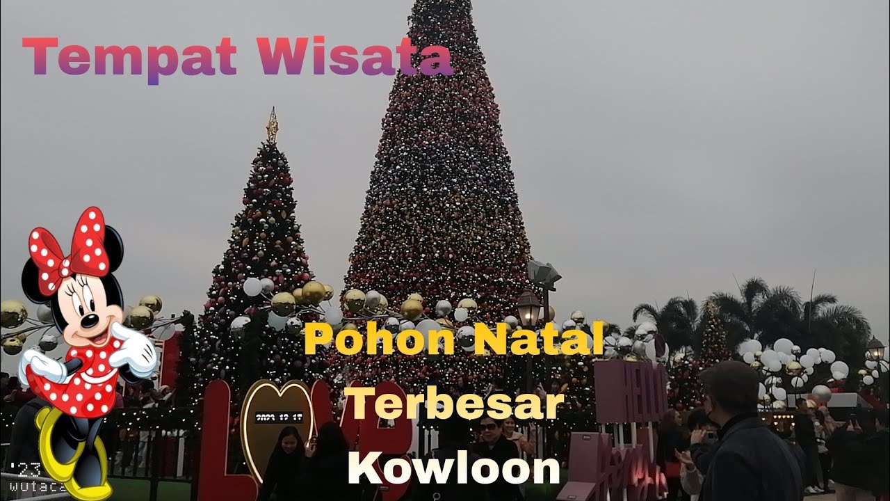 Tempat Wisata Di Hongkong // Pohon Natal Terbesar Kowloon west Art Park