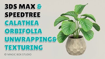 3ds max & speedtree calathea orbifolia unwrapping and texturing ǀ Part II