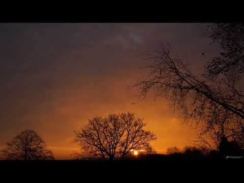 Wintersun - Loneliness