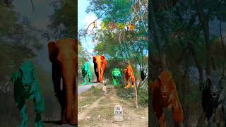 Big Dinosaur Chase T-Rex Chasingpart -1194