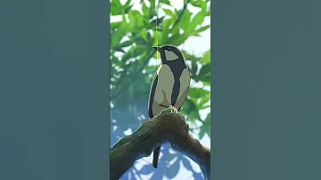 جمال الانمي كما لم تراه من قبل مريح للاعصاب انمي رومانسي انمي Anime Animation Animeedits Riko 