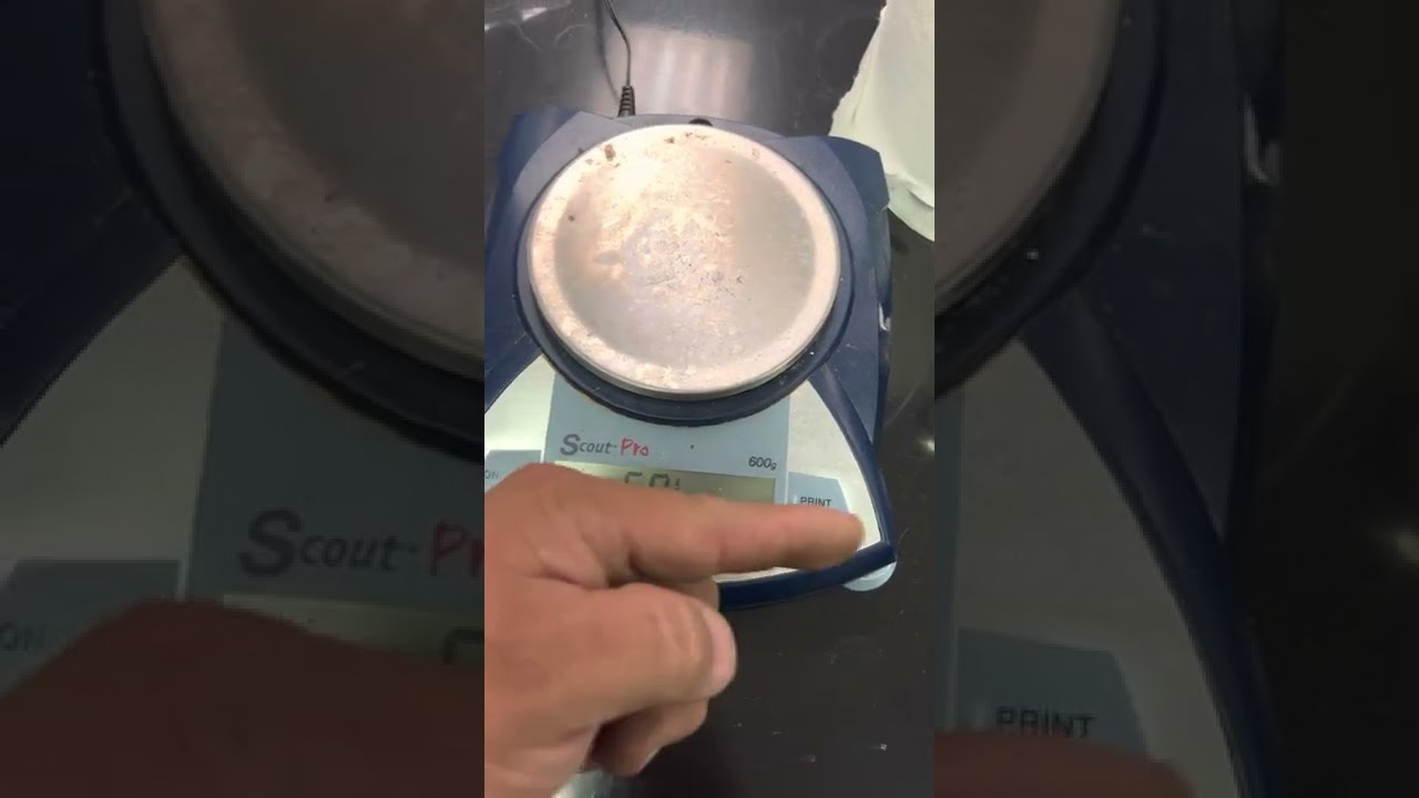 Calibration adjustment of a Ohaus             SP / Scout