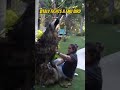 Vitaly fights a EMU bird #vitaly #tydollasign #kickstreamers #crazy #real #reaction #viralshort