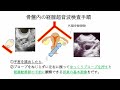 経腟超音波検査の基本 How to manipulate trans-vaginal sonography  (English subtitle available)
