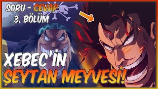 Xebecin Şeytan Meyvesi One Piece Soru Cevap