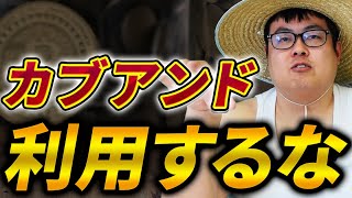 カブアンドって結局儲かるの？