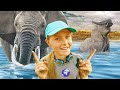 Swimming With Elephants! 🐘