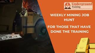🎬Job Hunt Information Video 17/06/26