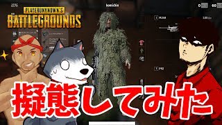 【PUBG】#1　初めてのギリースーツ！！これで相手にバレないでしょ！？　ぽこなか３人でドン勝を狙う！