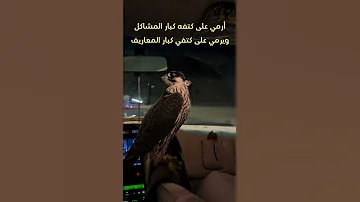 أرمي على كتفه كبار المشاكل 