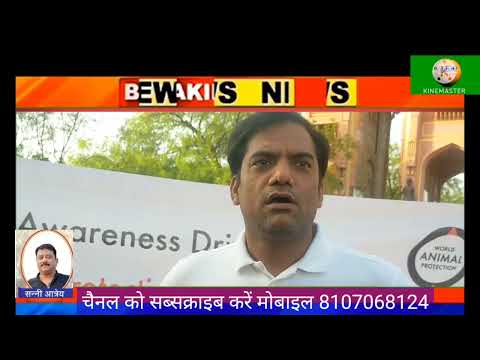 वर्ल्ड एनिमल प्रोटेक्शन के जागरूकता अभियान *नो प्राइड इन एलीफेंट राइड* को मिला समर्थन,