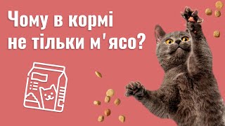 ⁉️ ЯК ВИБРАТИ ХОРОШИЙ КОРМ? СКЛАД КОРМУ ДЛЯ КІШОК — ЧОМУ В НЬОМУ НЕ ТІЛЬКИ МʼЯСО? ПОДІЛ НА КЛАСИ 🐈‍⬛