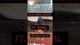 Black Metal Human: Hovel Upgrade and Cleaver&#39;s Birthday!