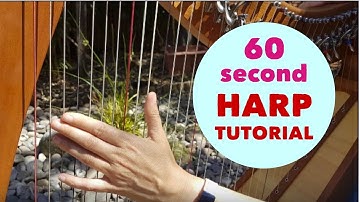 60 second Slow-Mo harp tutorial - Flat Hand Technique
