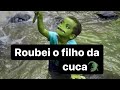 A cuca   o roubo do cuquinho jnior 