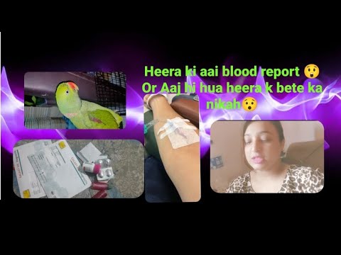 Heera ki aai blood report  or achanak hi heera k bete ka nikah ho gya ab kia hoga aage