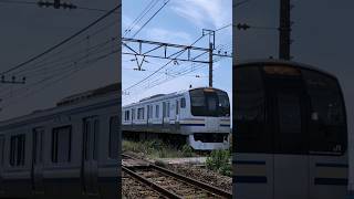 E217系Y116+Y40快速久里浜行！巌根〜袖ケ浦間にて❗