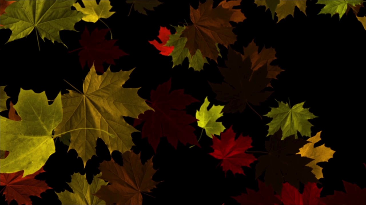 Animated Falling Leaves