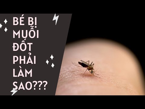 Video: Làm sao để hết ngứa do muỗi đốt? Những gợi ý hữu dụng