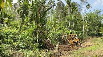 CAT D6R XL bulldozer action clears forest to widen road