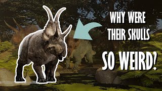 Everything You Need To Know About Ceratopsians