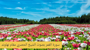 سورة القمر بصوت الشيخ الحصري مقام نهاوند