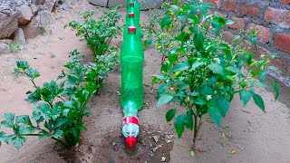 How to make DRIP IRRIGATION with a simple plastic bottle, easy, fast and cheap