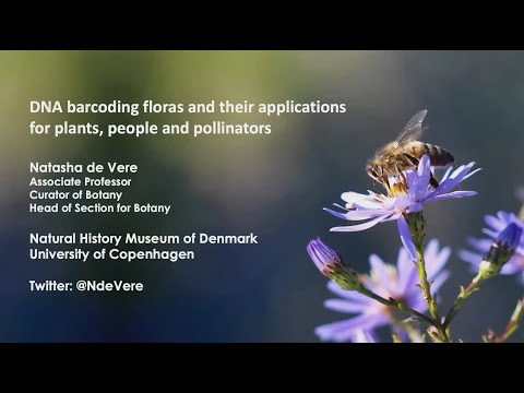 BD-Seminar 2021/11/24: DNA barcoding floras and their application for plants, people and pollinators