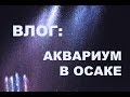 17.10. Влог: аквариум в Осаке