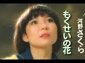 河野さくら/もくせいの花1977.5