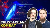 Ace Of Seafood Official Gameplay Trailer Youtube