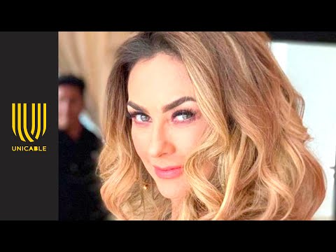 ¿Aracely Arámbula será parte del elenco de la serie de Luis Miguel? | Con Permiso | Unicable