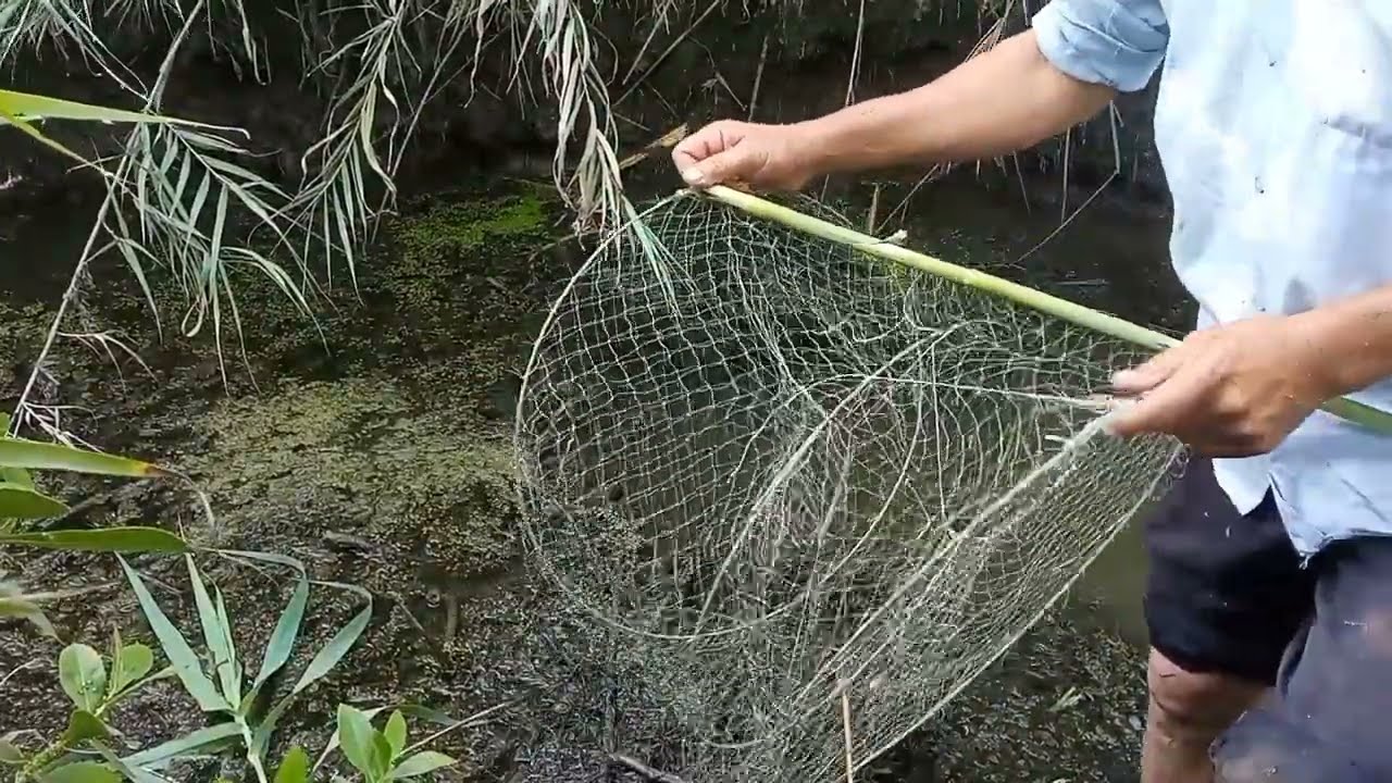 صيد الجوابى الريفيه صيد سمك البلطى بالجوبيه وطريقه العملCatch fish with big traps