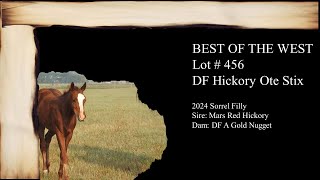 LOT 456 DF HICKORY OTE STIX