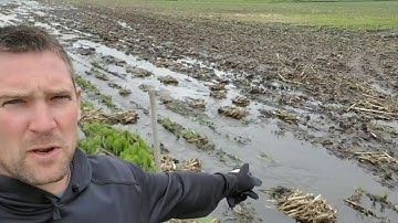 Digging in More Mud, Quick Nitrogen Talk