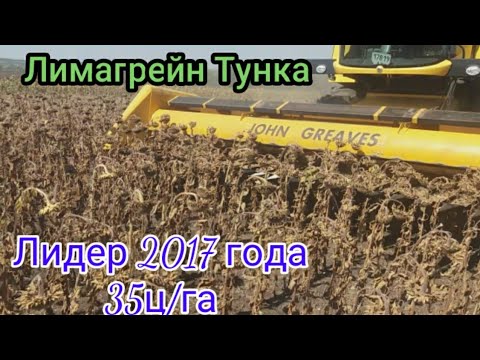 ЛИМАГРЕЙН-ТУНКА 35 Ц/ГА. НАШ ЛИДЕР В 2017 ГОДУ./HARVEST Су-джокNFLOWER