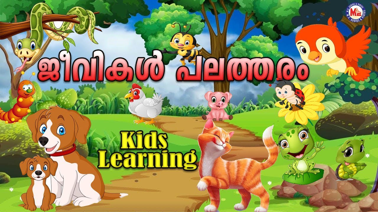 Learning Animals Names In Malayalam | Children Educational Learning Videos  | Study Videos For Kids - YouTube