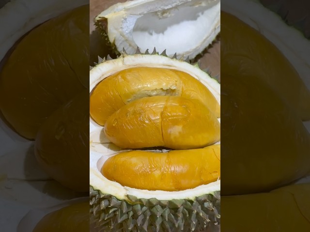 DURIAN OCHEE / DURI HITAM #durian #duriandurihitam #masduren class=