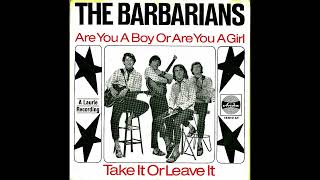 Are You A Boy Or Are You A Girl? (2022 Mix) The Barbarians