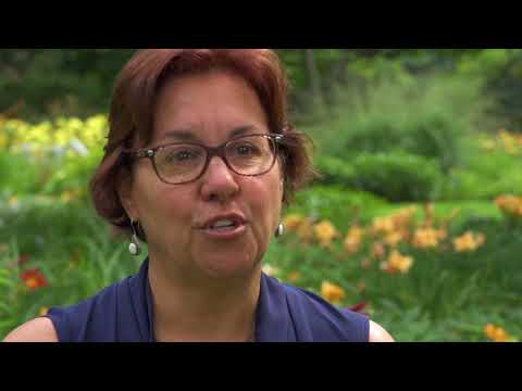 Vidéo: Guide du visiteur du Jardin botanique de Montréal