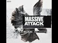 Massive attack  live at ancienne belgique  1998