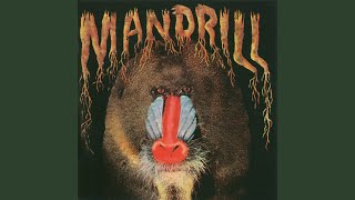 Watch Mandrill Mandrill video
