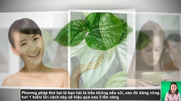 [ Hướng Dẫn ] Cách Trị Mụn Trứng Cá Bằng Cây Thuốc | Lê Ngọc