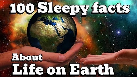 The Most Relaxing Facts About Life on Earth 🌎 | Fall Asleep to Science & Motivation