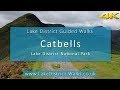 Lake District Guided Walks: Cat Bells