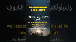 Murottal Qur'an Surah Al-baqarah ayat 155-157, 'ujian' (Muhammad Thaha Al-Junayd) #shorts