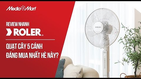Review nhanh Roler RF-7125A – Quạt cây 5 cánh đáng mua nhất hè này? - Điện máy MediaMart